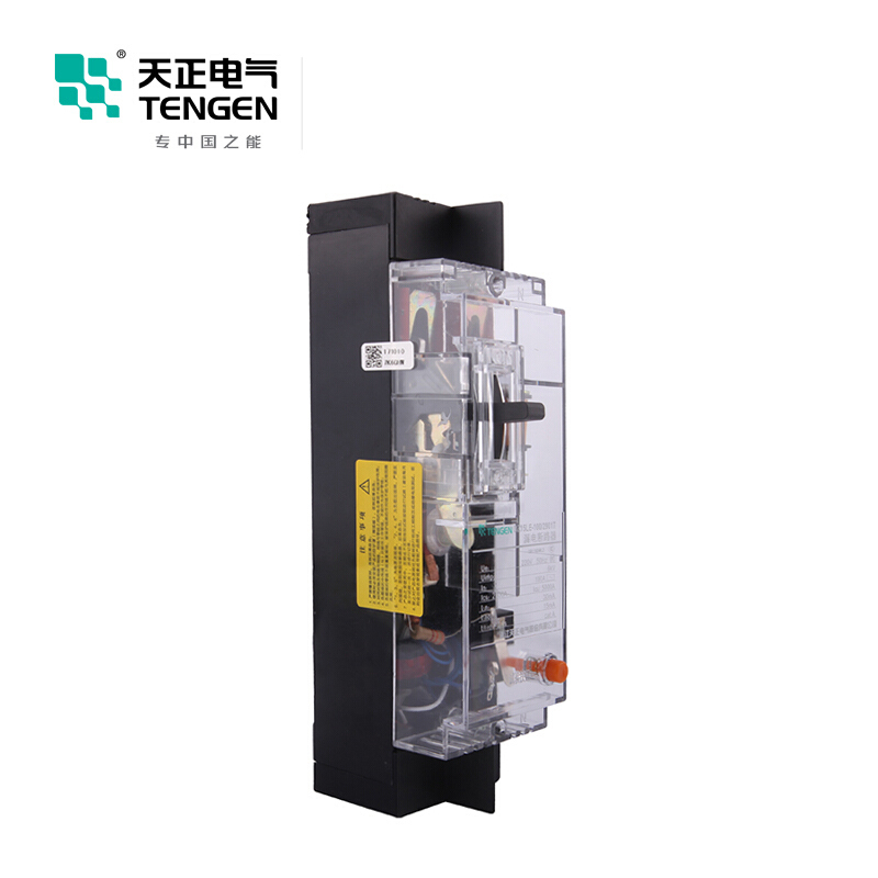 天正电气 DZ15LE-100 5KA 热磁式 63A 2P手动固定式380V 01020010272塑壳漏电保护断路器