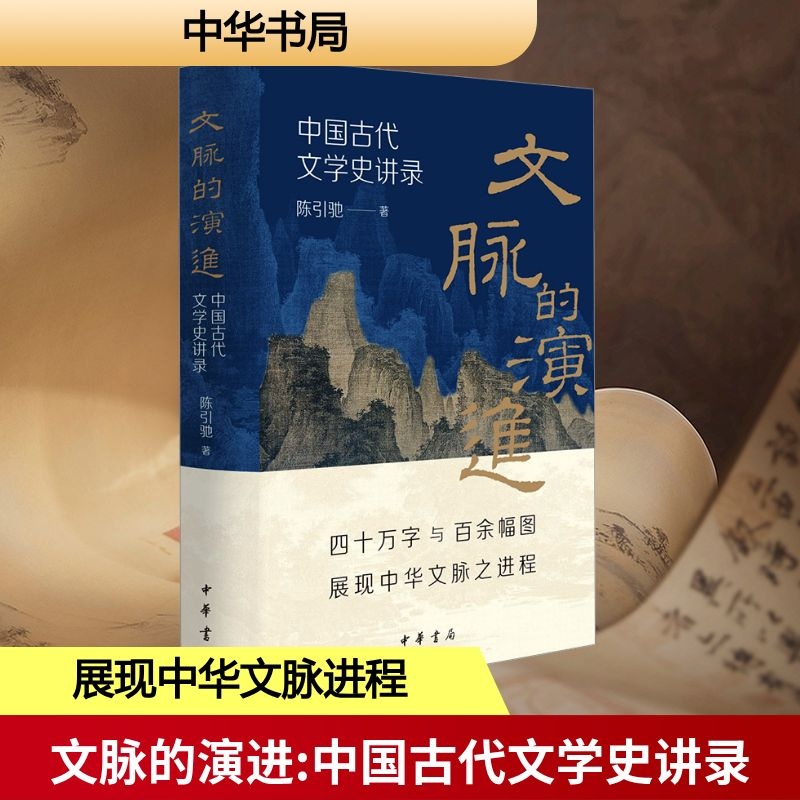 [M]文脉的演进 中国古代文学史讲录-9787101169072高清大图