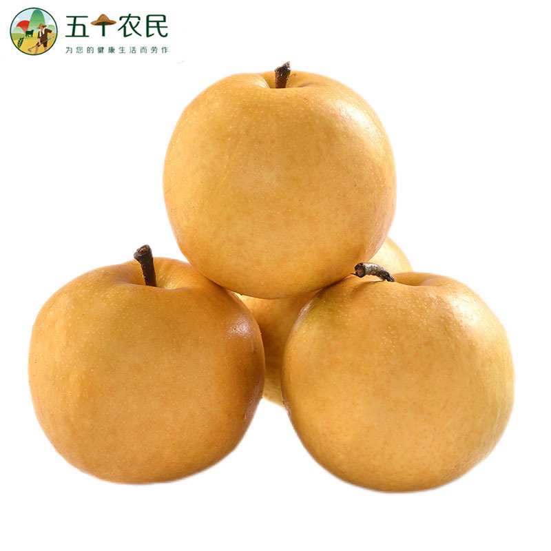 [五个农民]正宗山东秋月梨一级大果4-6枚装精品5斤装送礼佳品