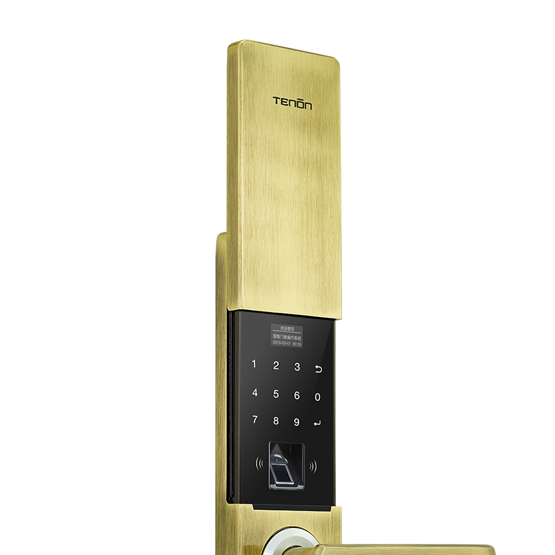 亚太天能(TENON)智能指纹锁 锌合金家用指纹密码锁电子门锁 T21e 青古铜