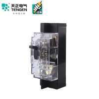 天正电气 DZ15-40 3KA 热磁式 40A 2P 手动 固定式 220V 01040030072 塑壳断路器