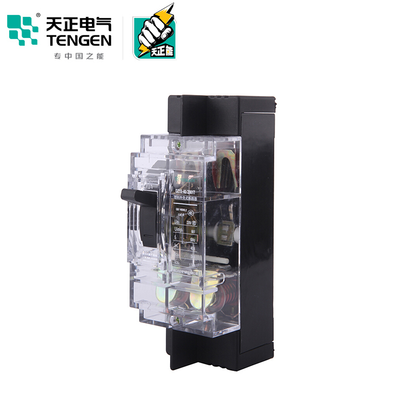 天正电气 DZ15-40 3KA 热磁式 40A 2P 手动 固定式 220V 01040030072 塑壳断路器