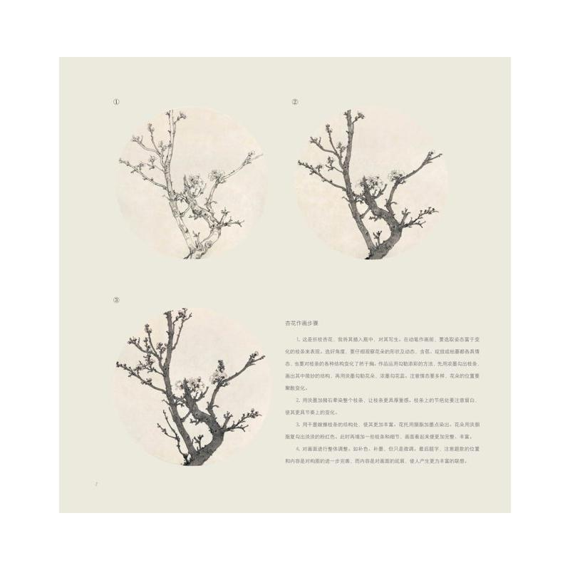 醉染图书花鸟虫鱼 范治斌写意花鸟技法解析9787539344065高清大图