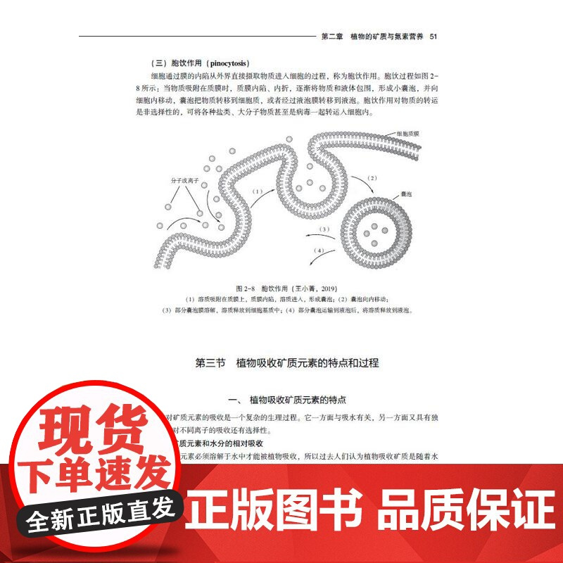 教材.植物生理学(中国轻工业“十四五”规划立项教材 高等学校植物生产类专业应用型本科教材)龚月桦,何龙飞主编出版年份20