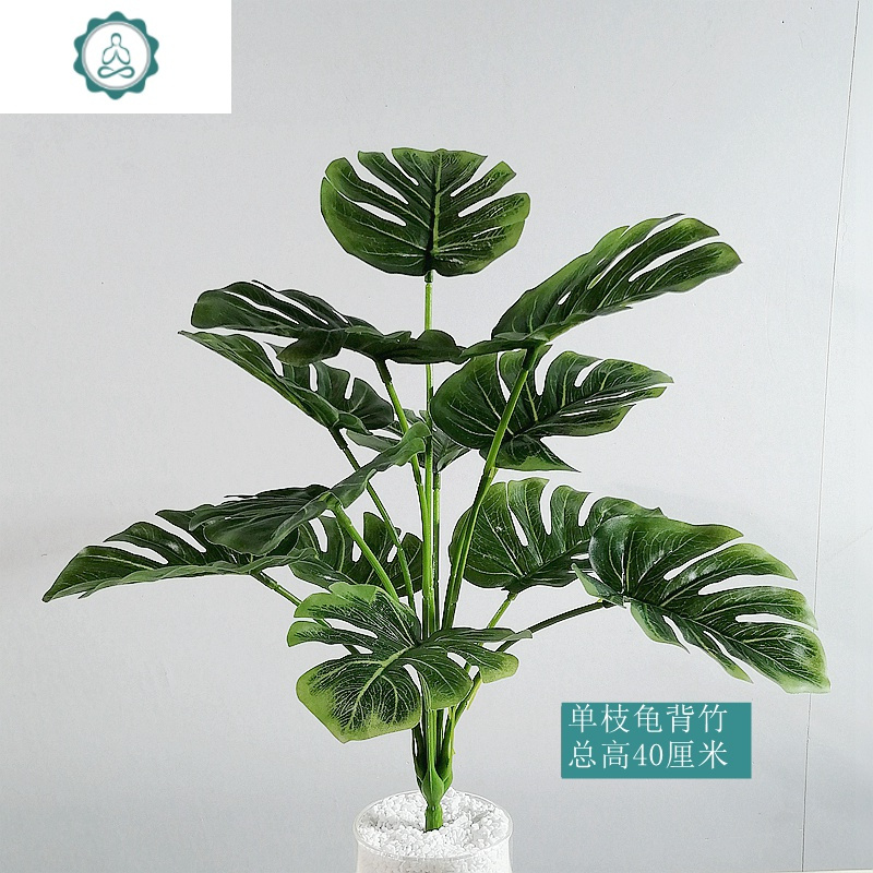 假花仿真花室内装饰摆件客厅餐桌绢花花卉植物小盆景摆设法文袋纸封后单枝万年青花叶仿真植物报价 参数 图片 视频 怎么样 问答 苏宁易购