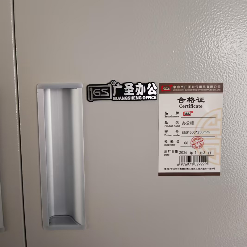 GS 单节柜办公柜 850*500*250mm高清大图