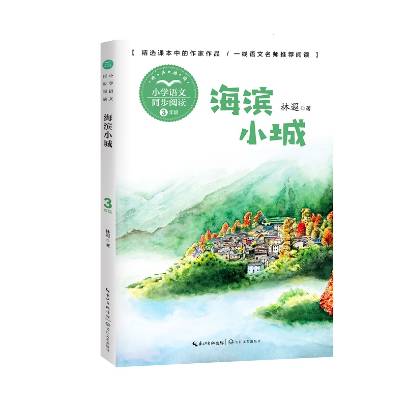 正版新书]海滨小城林遐著9787570221394高清大图