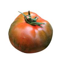 蔬果哆 新鲜蔬菜 辽宁特产 丹东铁皮西红柿 水果西红柿 2.5kg