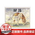 驿马（信谊世界图画书图
