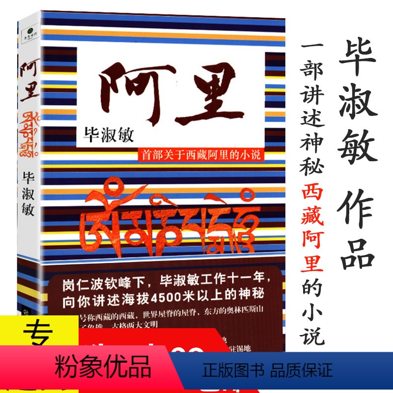 [正版]毕淑敏作品:阿里首部关于西藏阿里的小说//讲述海拔4500米以上的神秘藏传佛教胜地现当代文学书籍无性别的神