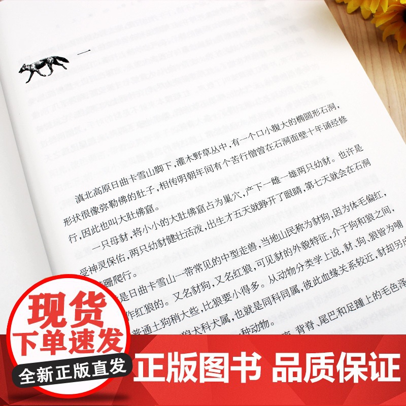 红豺 雄鹰金闪子 沈石溪臻奇动物小说文集 热血卷 8-9-10-12-15周岁儿童文学三四五六年级中小学生课外阅读书籍高清大图