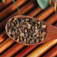 桂枝尖新货正品香料细桂枝桂枝尖嫩条泡茶可搭干姜红花泡脚