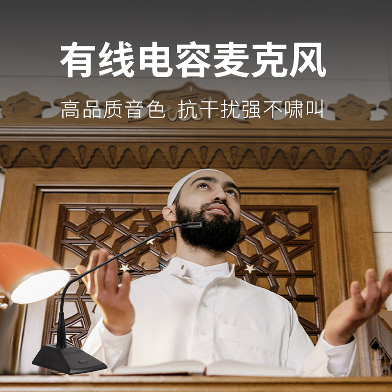 润普Runpu 会议音频扩声系统 专业有线电容麦克风会议话筒 会议演讲主持鹅颈麦RP-S-DYX502高清大图