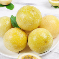 原泽味 黄金百香果大果 8个 单果70-100g 新鲜黄皮西潘莲水果