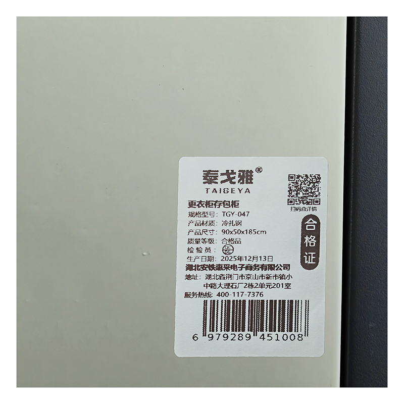 泰戈雅 更衣柜存包柜 TGY-047 个高清大图