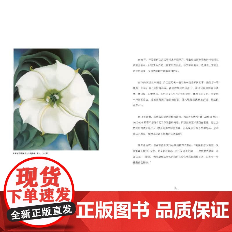 成为你自己 15位世界杰出女艺术家 跨越性别定义 美术家艺术家传记绘画欣赏书籍高清大图