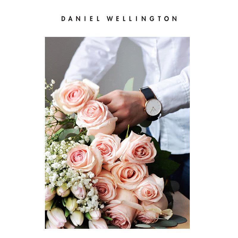 Danielwellington 丹尼尔惠灵顿 dw手表女织纹腕表32mm 石英表图片