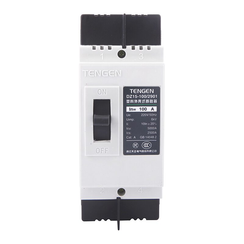 天正电气 DZ15-100 5KA 热磁式 100A 2P 手动 固定式 220V 01040030001 塑壳断路器