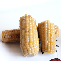 月亮岛花糯玉米整玉米2根真空装鲜食玉米糯玉米棒东北美食黑龙江特产糯玉米棒嫩糯微甜花玉米彩玉米熟玉米棒