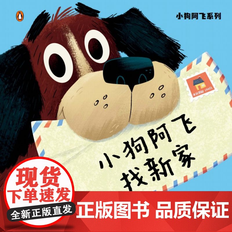 小狗阿飞系列-小狗阿飞找新家高清大图