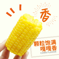 苏宁宜品自营农得客博斯糯9号东北香甜糯玉米棒10根 非转基因健康减肥杂粮