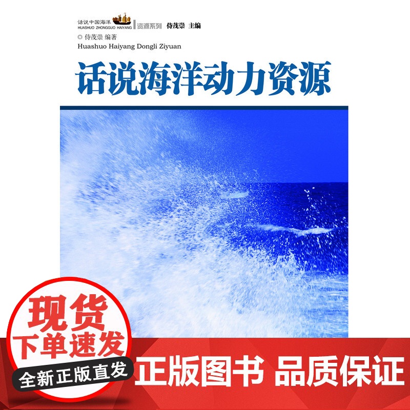 话说中国海洋丛书:话说海洋动力资源高清大图