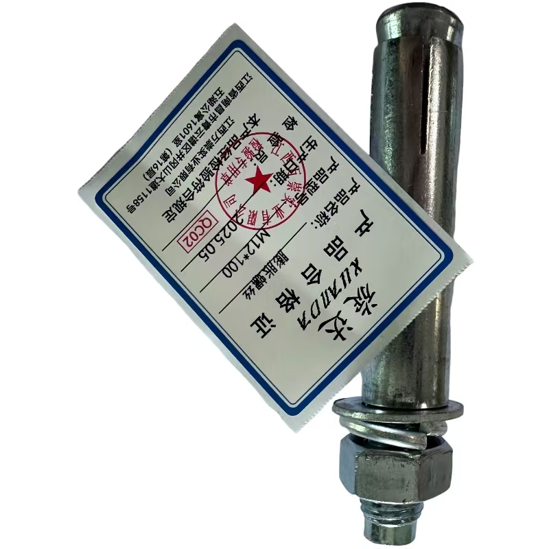 旋达 膨胀螺丝 M12*100/个高清大图