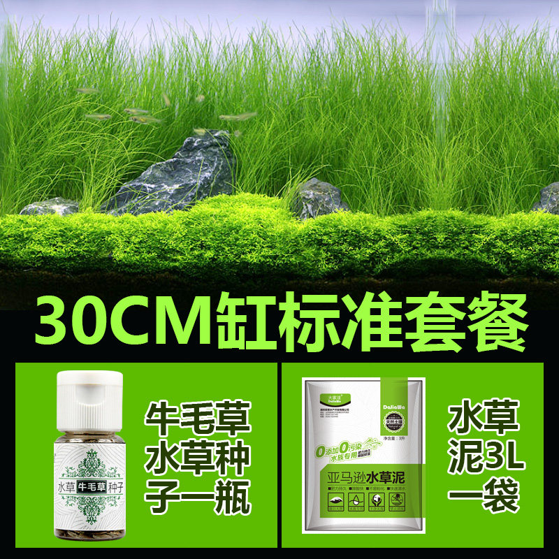 牛毛水种子鱼缸真装饰造景莫斯懒人净化水质水族箱水生植物_1 默认尺寸 30缸套餐牛毛草1瓶+水草泥1袋