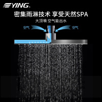 ying鹰卫浴全铜淋浴龙头套装浴室挂墙鹰牌升降喷头淋浴花洒套装