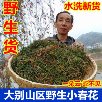 2018大别山区野生一朵云小春花 独脚金鸡 阴地蕨 蛇不见 1斤