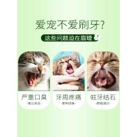 时尚洁齿凝胶凝露猫狗抑菌去除牙结石洁牙除口臭90g立白出品
