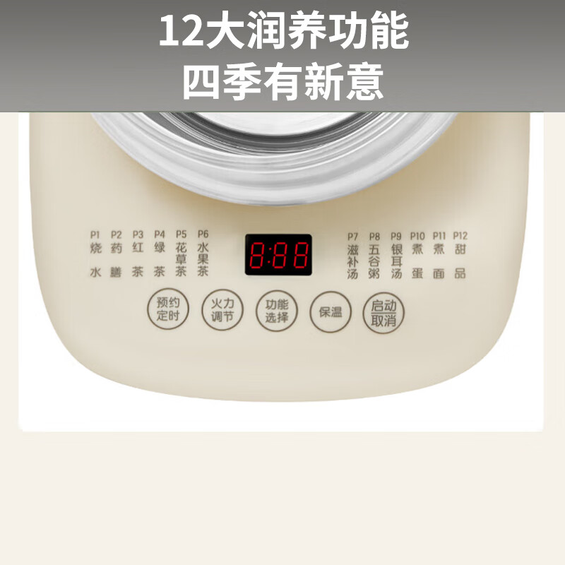 九阳(Joyoung)1.5L 养生壶 0胶水煮茶器 316L不锈钢电烧水壶 保温花茶壶 带滤网 WY303高清大图