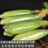 薯家上品 云南水果甜玉米5斤 新鲜采摘应季甜玉米棒生吃蔬菜脆甜爆浆