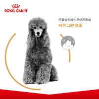 ROYAL CANIN 皇家狗粮 PD30贵宾泰迪成犬狗粮 全价粮 3kg 小型犬成犬 亮泽被毛 增强肌肉力量