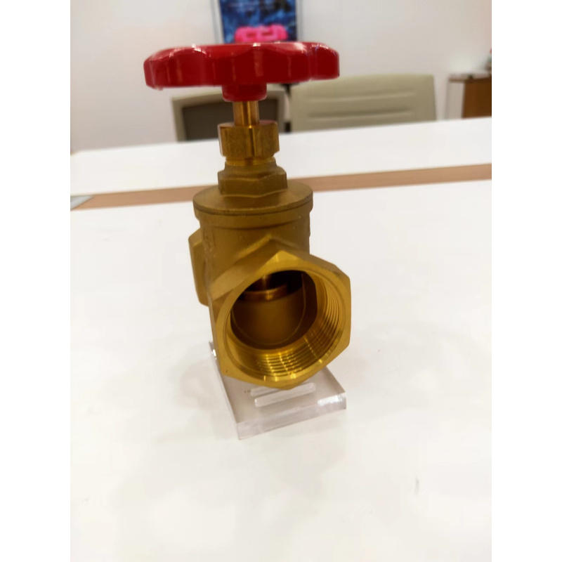 V&G华龙巨水 截止止回阀 DN40
