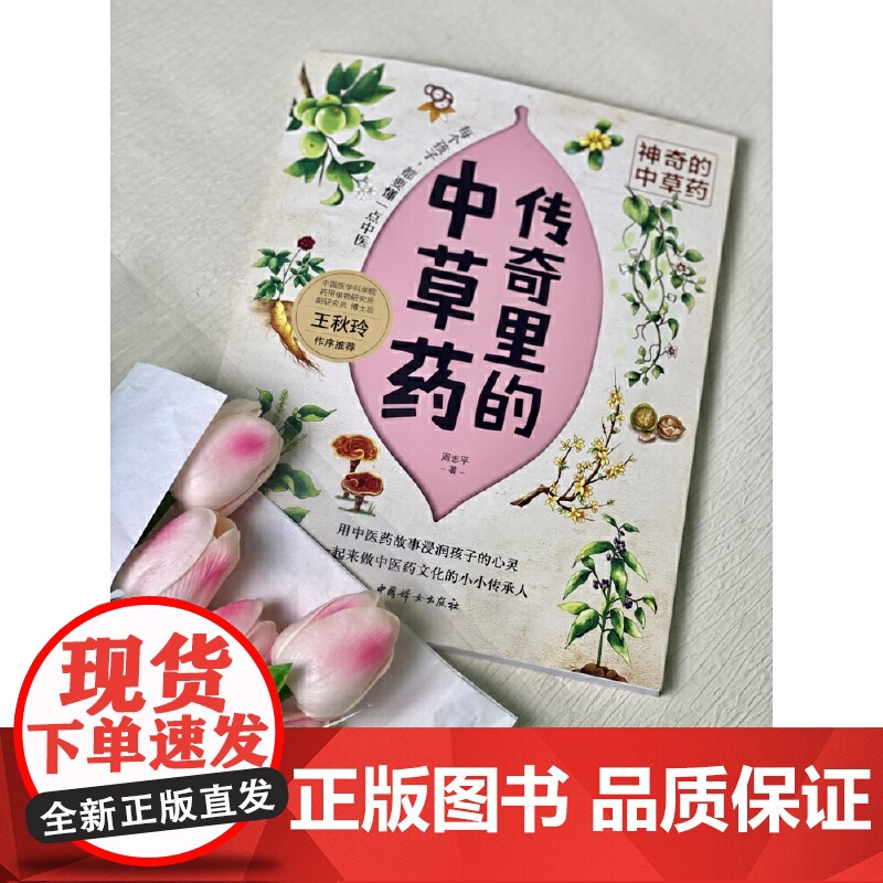 传奇里的中草药-神奇的中草药 周志平 中国妇女出版社 正版书籍高清大图