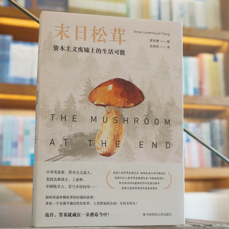 [正版]末日松茸 资本主义废墟上的生活可能 薄荷实验 罗安清 人类学社会经济学 荣获第六届单向街书店文学奖 “2020年高清大图