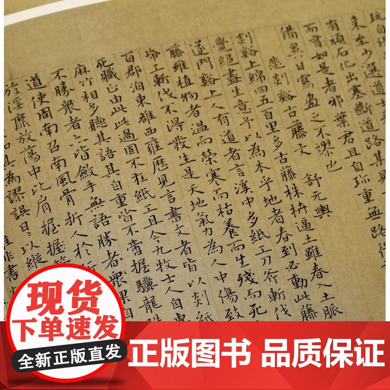 风华正茂:全国中青年书法名家十一人作品集(第二辑) 王健秋 主编 上海书画出版社 正版图书 书法篆刻作品 193组高清大图