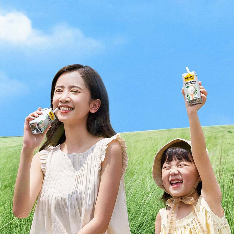 认养一头牛 儿童学生早餐生牛乳发酵原味酸奶 200g*12盒高清大图