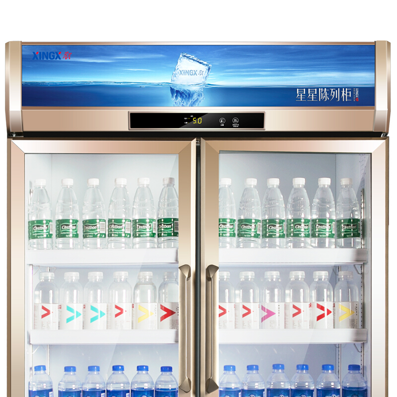 星星(XINGX)610升立式冷柜商用展示柜对开门饮料柜冰柜风冷无霜侧开门LSC-610WD高清大图