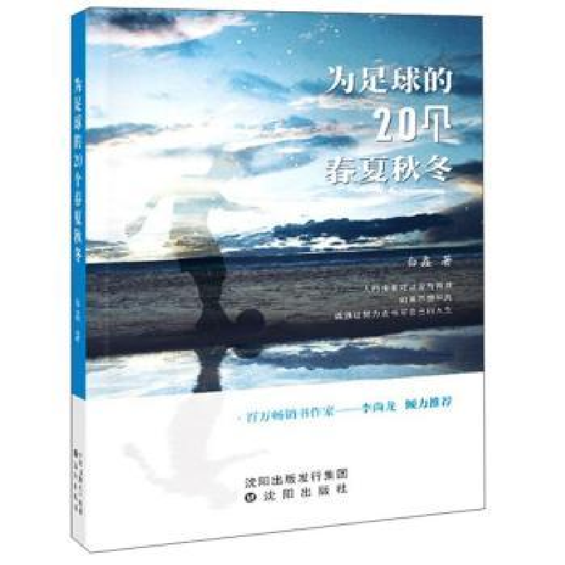 音像为足球的20个春夏秋冬白鑫