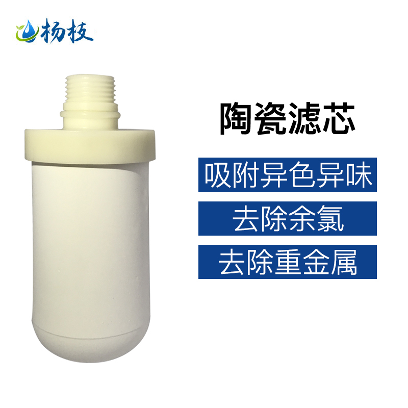 杨枝净水器/电镀银/陶瓷滤芯厨房水龙头滤水器家用直饮自来水过滤器一机二滤