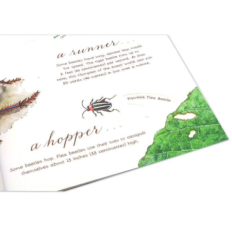 美丽成长生命科普绘本系列6册 [正版]美丽成长生命科普绘本系列6册英文原版绘本 A Seed Is Sleepy/A B高清大图