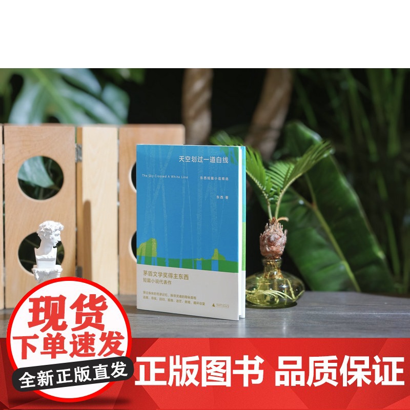 天空划过一道白线: 东西短篇小说精选 东西/著 茅盾文学奖 荒诞 身体 救赎 广西师范大学出版社高清大图