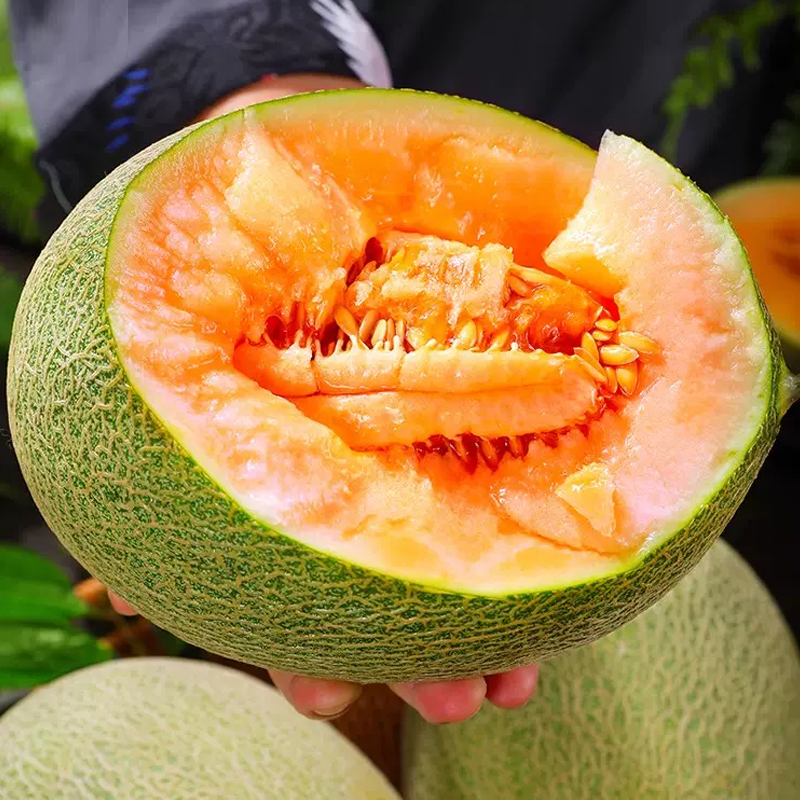 【西沛生鲜】新鲜哈密瓜 净重8.5斤 1-3个 应季水果 新鲜甜瓜 鲜果
