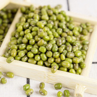 七河源有机绿豆1kg 杂粮豆