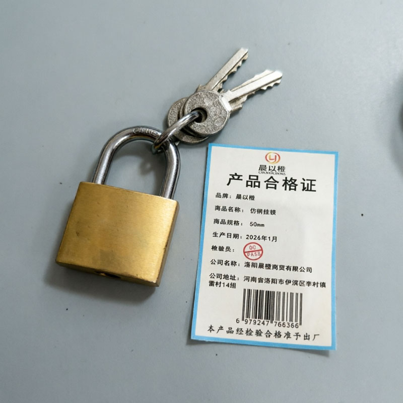 晨以橙 仿铜挂锁 50mm 把高清大图
