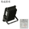 利成照明 彩色泛光灯 LC1321-100W