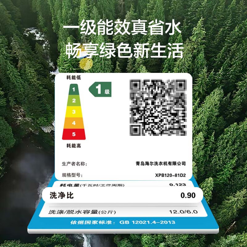 海尔(Haier)12公斤 大容量 双缸洗衣机 半自动 二级能效 宽电压 双电机 XPB120-81D2高清大图