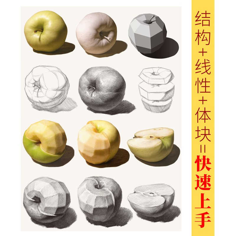 [正版图书]国美素描静物临摹照片书教材入门画册基础周文超美术生对画